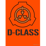 Class-D Rebels