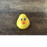 Ducky squad:)