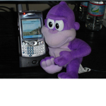 bonzibuddy cool fan club