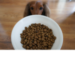 The Kibble Squad:)