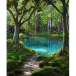 Sunset rain forest <3