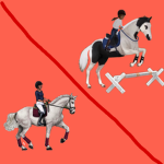 Apple Orchard Competition Club