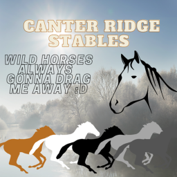 Canter Ridge Stables Main Game