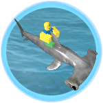 RIDABLE HAMMERHEAD PASS