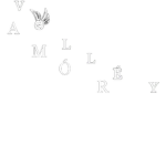 VOLLÉY AMÓR