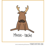 Moose-aches
