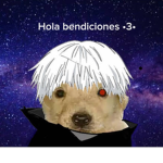 fans de ninja blanco