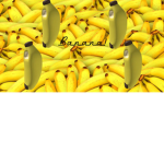 Banana Group!!!!!