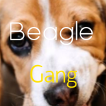 Da Beagle Gang