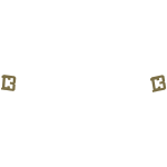 NYPD 13th precinct BRASS