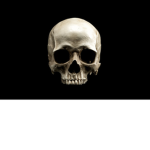Permanent Death Access