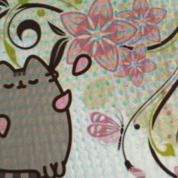 ˃◡˂