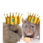Animals Preys United