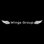 Air Flying GO