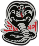 • Cobra Kai Karate • 코브라 카이