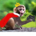 MONKEH_TROOPS