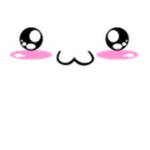 Sofi Followers 2