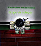 (Exército Brasileito) Grupo de colegas !