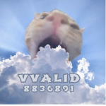 vvalid