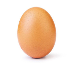 Egg Hangout