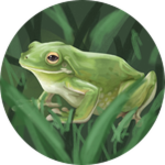 (TNP) The Green