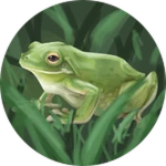 (TNP) The Green