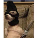 Mexican gangster
