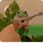 Rock boy