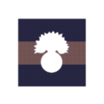 Grenαdier Guards