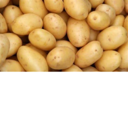 PotatoManYT fan club hang out