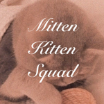 Mitten Kitten Squad!