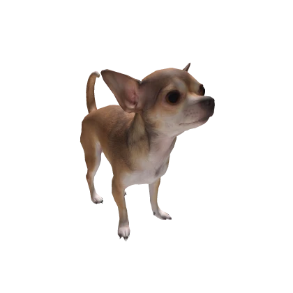 ✓Chihuahua✓ | Roblox Item - Rolimon's