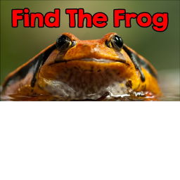 find the frogs