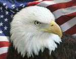 The Patriotics