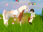 -||Monica's Adoption Stable||-