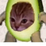 Jaquicrak1234Go la proooo