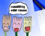 THE DRIP ISREAL XD