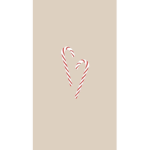 aesthetic and preppy store group