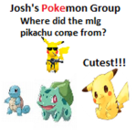 Josh's Pokemon Group