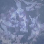 <3DOVE ARM<3