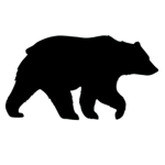 BearLogic
