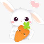 Aesthetic_BunBun