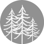 GrowGames Studio