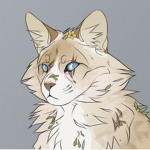 Cat’s fans:>