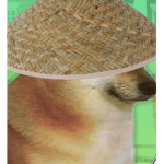 Ninja doges club