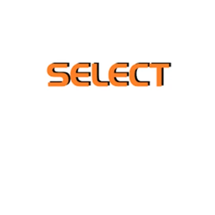 Select Bus Roblox group icon