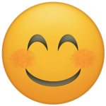 lisamoney