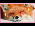 Da Fox Squad Forever