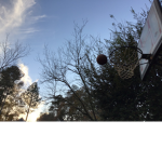 Illusion basketball