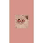 .sofxmar